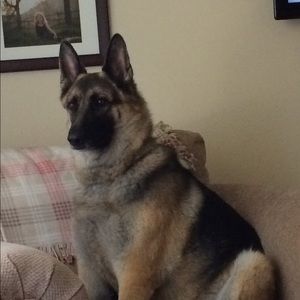 Meet your Posher, Brenda